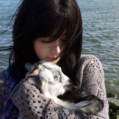 东京死劫:布莱克曼命案在线观看
