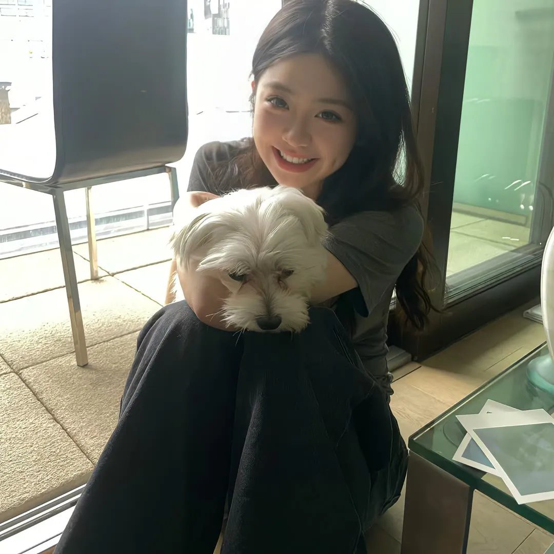 磨刀霍霍向太阳在线观看
